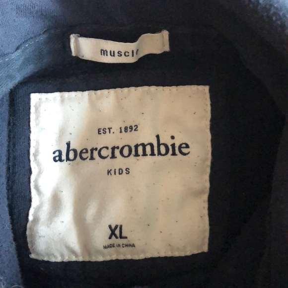 Abercrombie Kids Gray Blue Tiger Graphic Hoodie - Picture 6 of 6